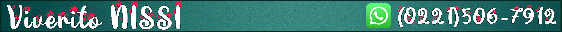 Banner Viverito Nissi